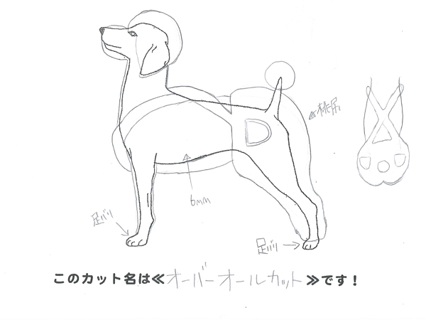 カットのデザインを考えました！
